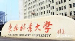 自考助学大专东北林业大学拿证这么简单