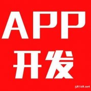 app定制开发为什么贵，什么是App定制开发?