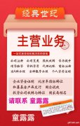 转让上海文化传媒公司带演出经纪营业演出许可证