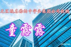 无区域名称的中字头集团公司收购费多少钱