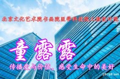 转让北京文化艺术院书画院医学科技院工程设计院